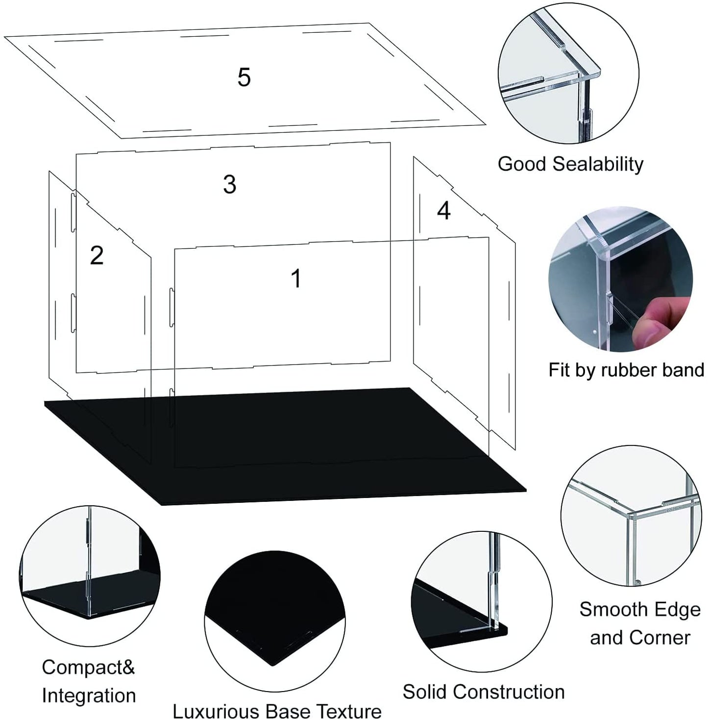 Display Case for Collectibles